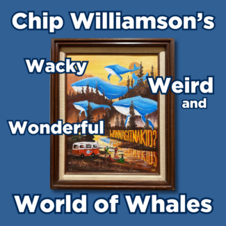 The Wacky, Weird, and Wonderful World of Whales